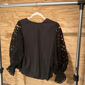 ZARA ORGANZA SLEEVE TOP *NWT*